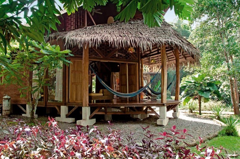 Inside the botanical garden — palm-lined paths between the houses